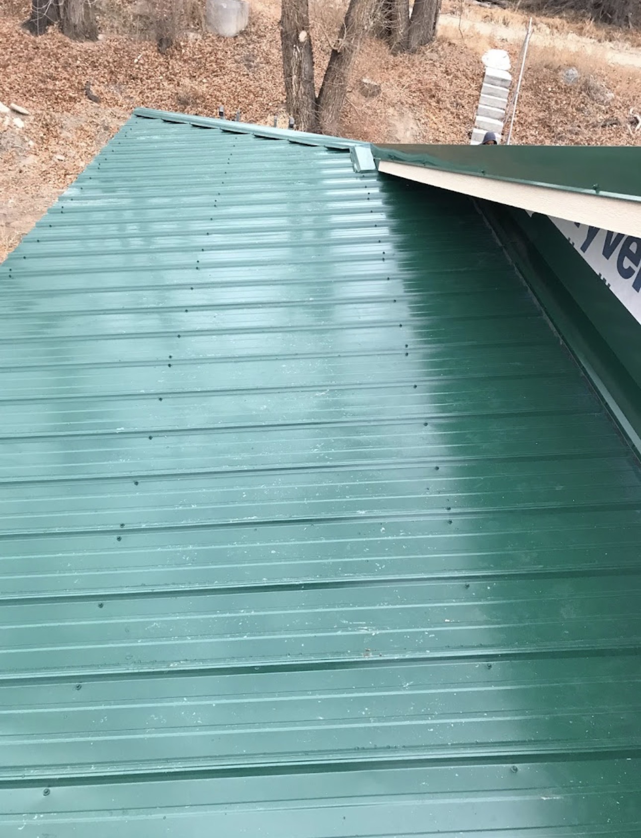 Green metal roof